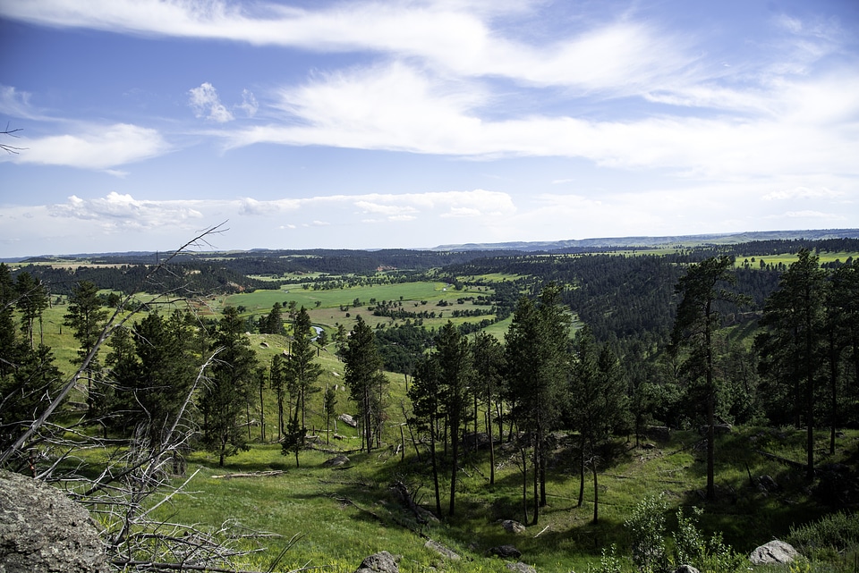 Cattlemen's Paradise at Devil's tower
