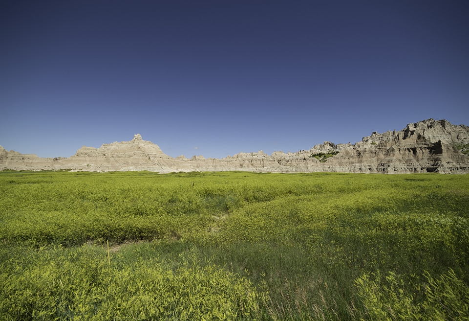 Rocky Hills and Yellow Flowers