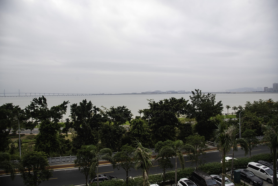 Clouds, Treetops, bay, and landscape from Zhu Hai