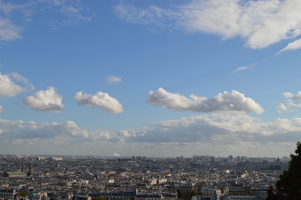 Horizon roof landscape