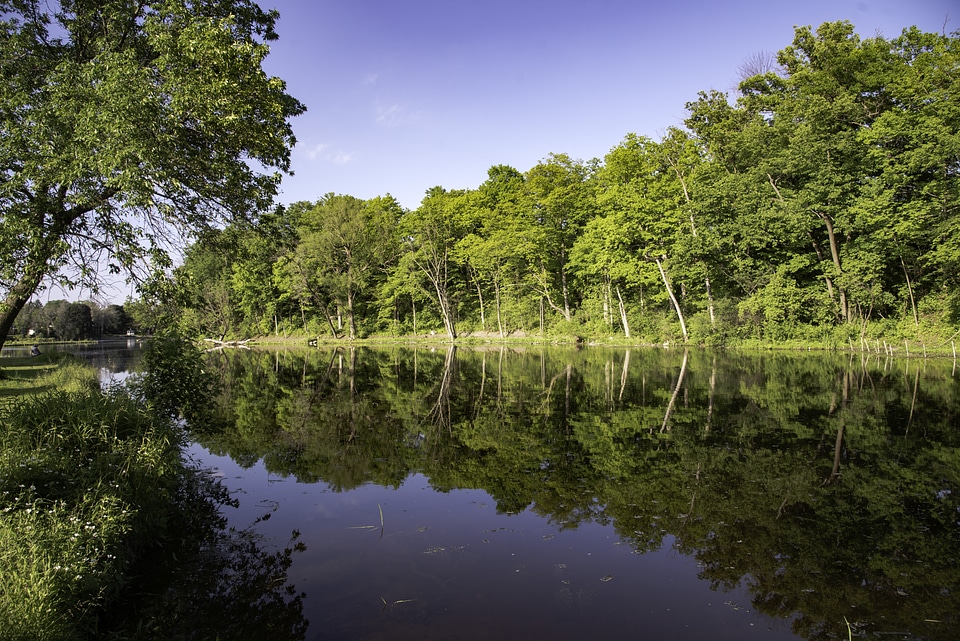 Stream at Cedar Creek Park