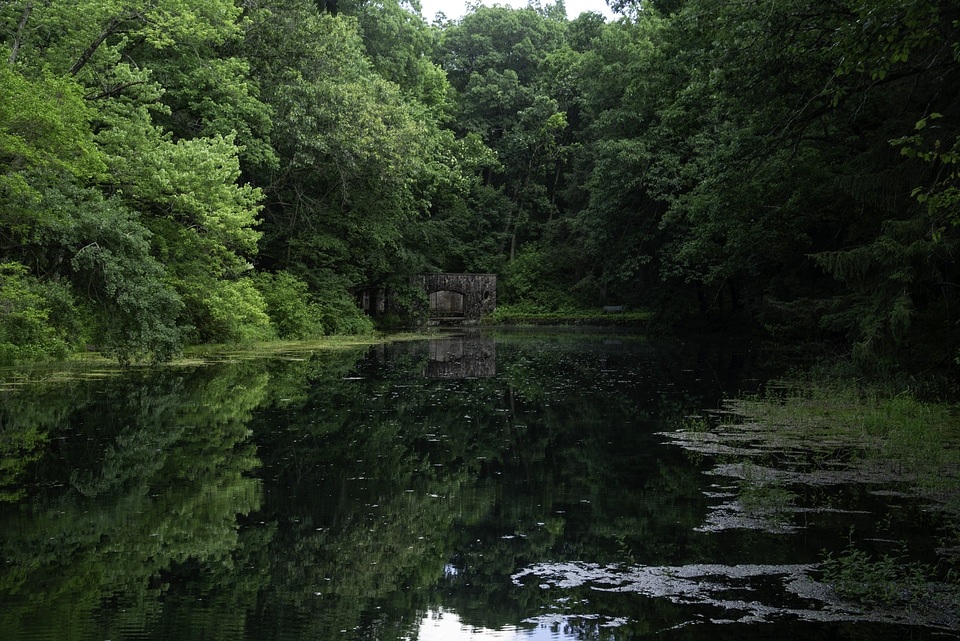 Pond landscape at Paradise Springs