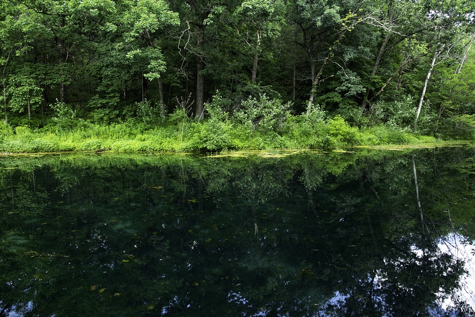 Landscape across paradise springs Pond
