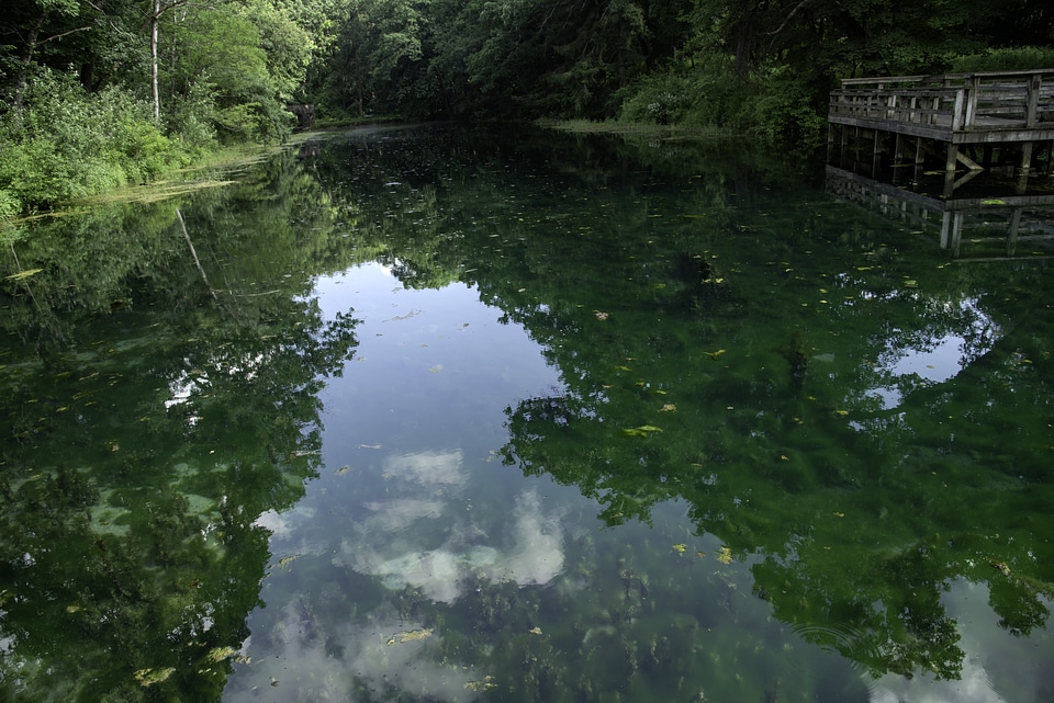 Green clear waters at Paradise Springs