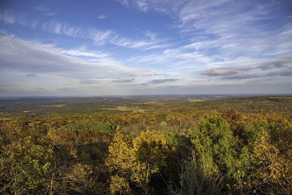 Overlook with Autumn trees and leaves