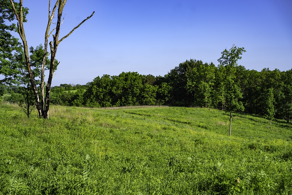 Hills, trees, and nature at Pleasant Valley State Natural Area