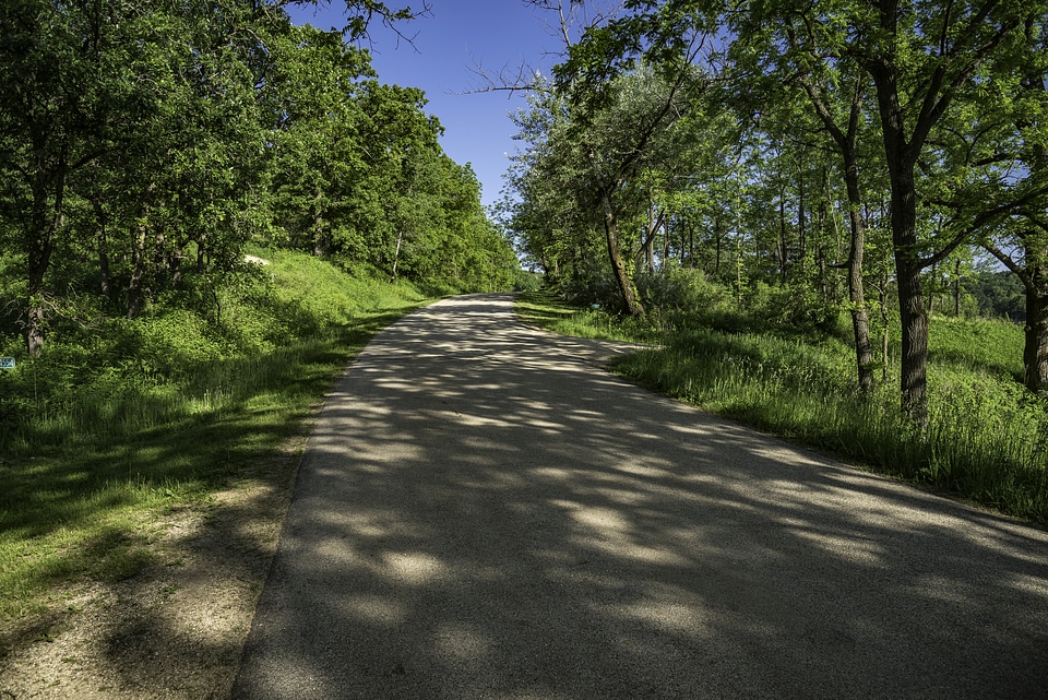Shadowed Road Area