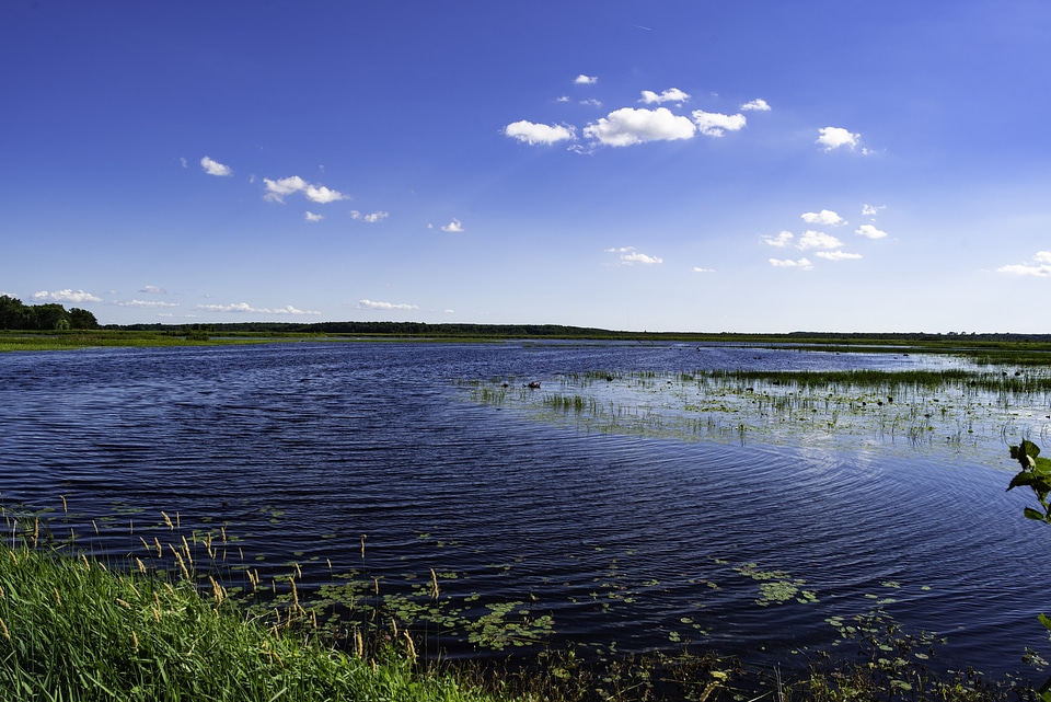 Scenic View Across a large pond at George Meade Wildlife Refuge