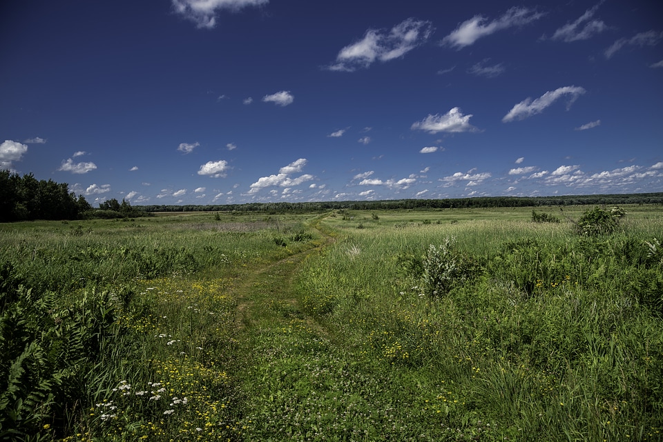 Blue Skies with small clouds over the prairie 