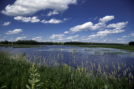 Wetlands Lanscape with Ponds under sky and clouds photo
