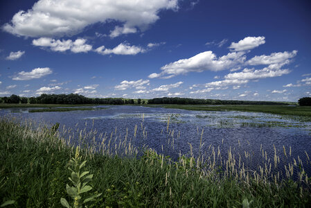 Wetlands Lanscape with Ponds under sky and clouds