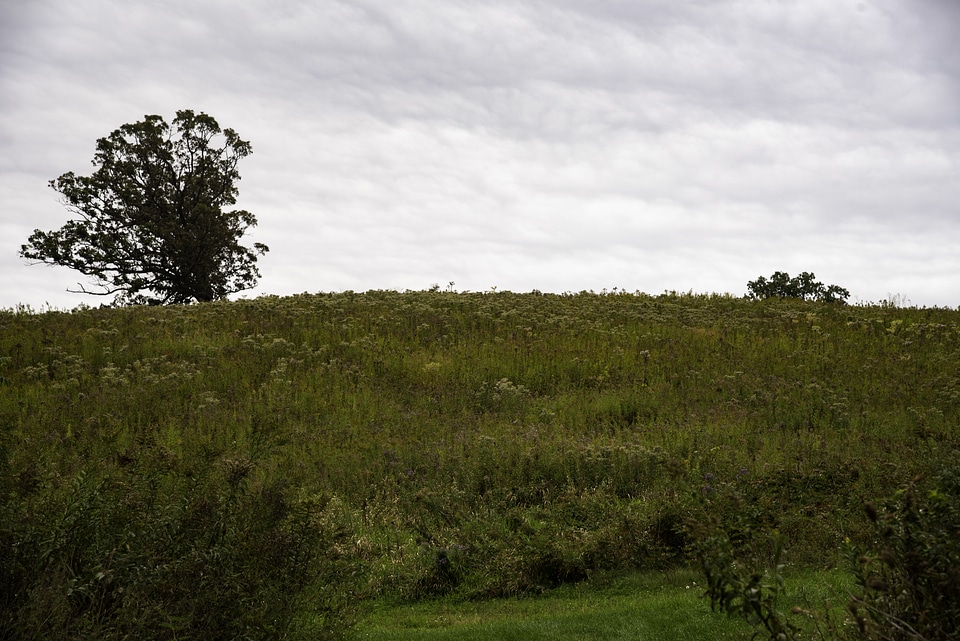 Hill, grass, and landscape under cloudy sky photo