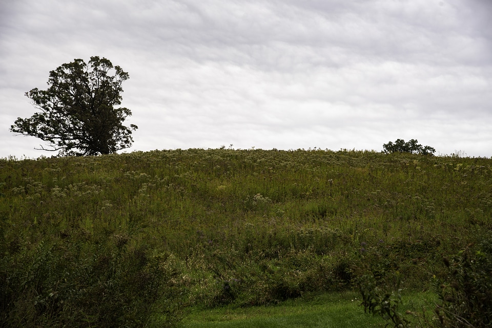 Hill, grass, and landscape under cloudy sky