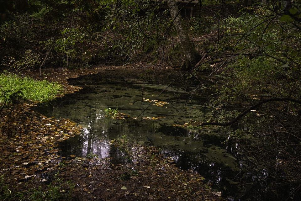 Spring landscape with water