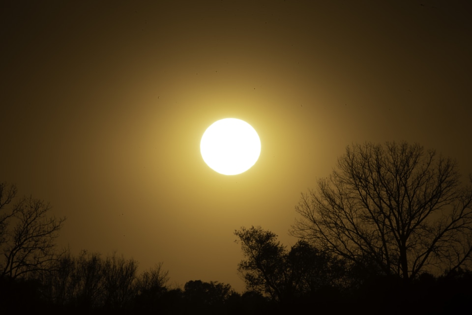 Late Afternoon sun in orange sky