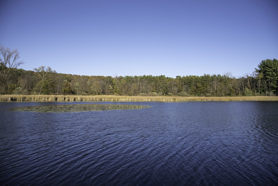 Landscape view across small lake