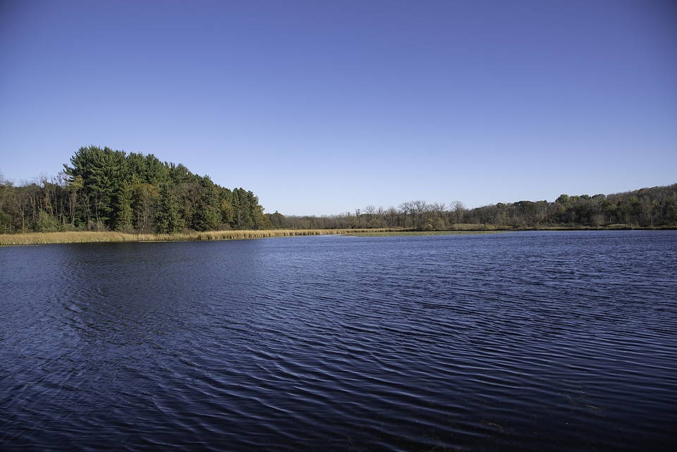 Opposite shore view across the small lake
