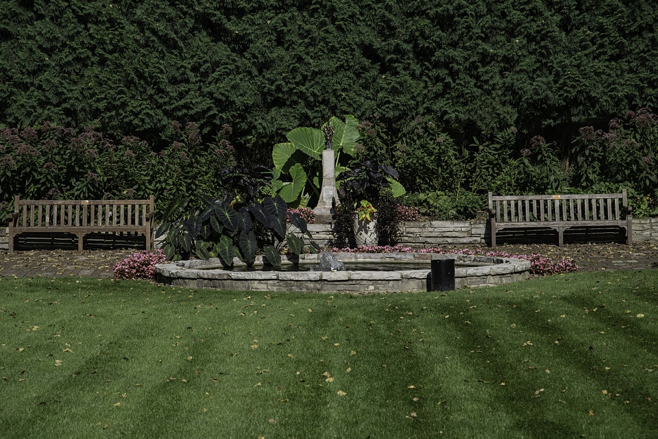 Lawn, plants, pond, and landscape