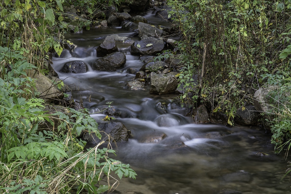 Flowing Stream at Parafrey's Glenn, Wisconsin