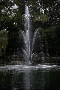 Close up of sprouting fountain in the pond