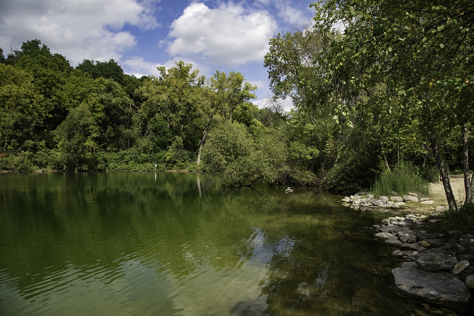 Lakeshore, green water, trees, and nature