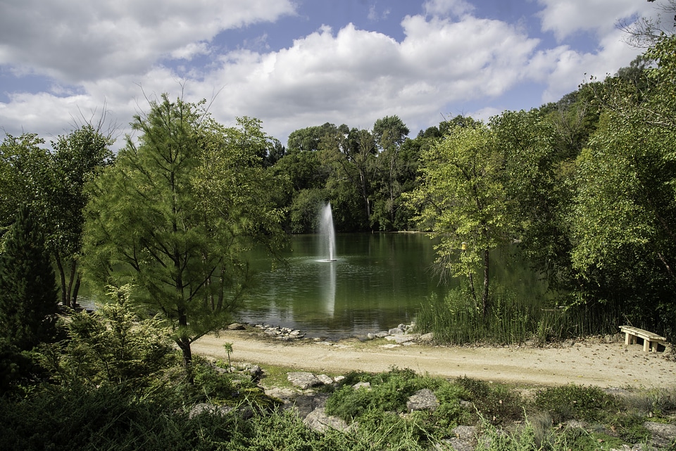 Landscape with pond and fountain in garden