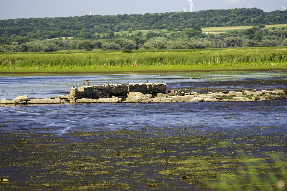 Ruined buildings in the Swamp