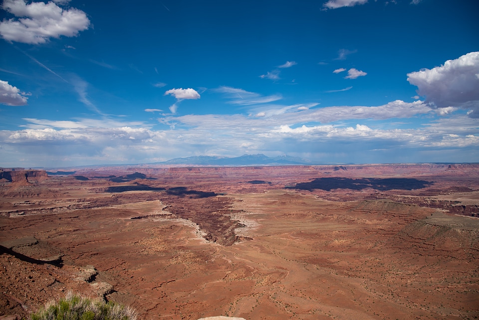 Canyon Bowl Rim at Canyonlands National Park