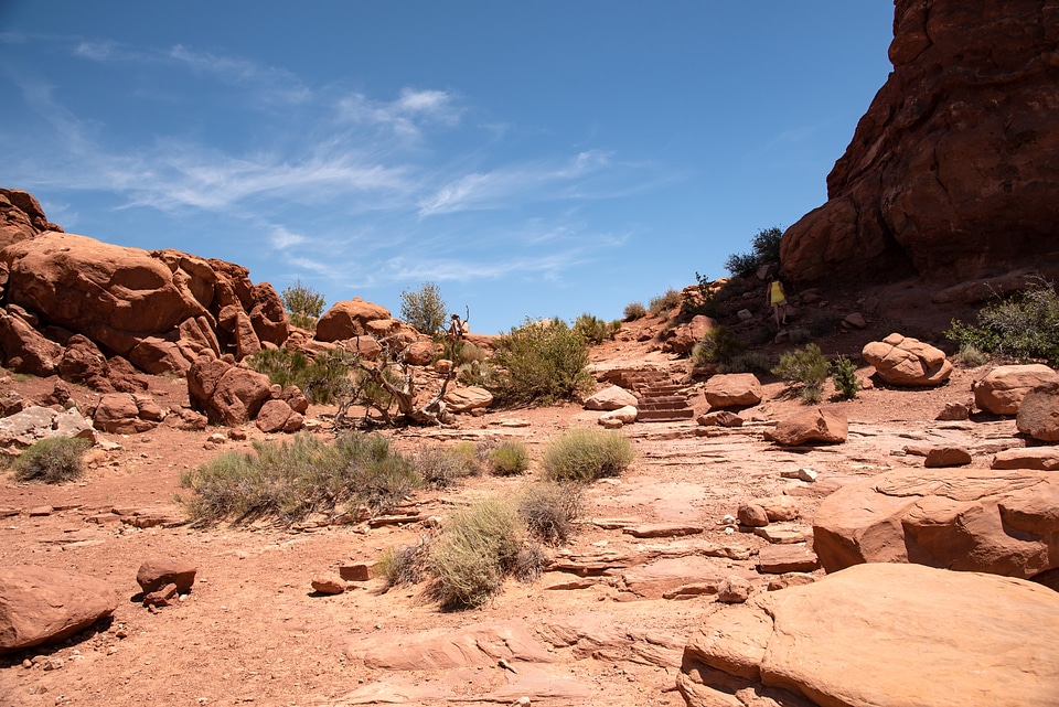 Rocks and Grasses in the desert