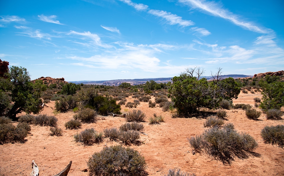 Blue Skies over the vast Desert