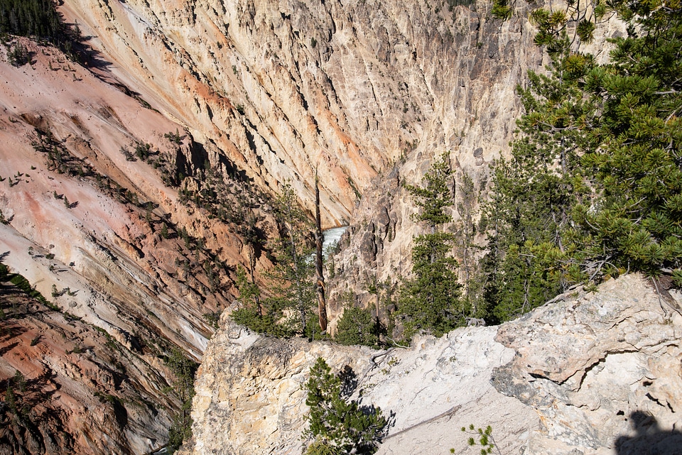 Looking down Yellowstone Canyon photo