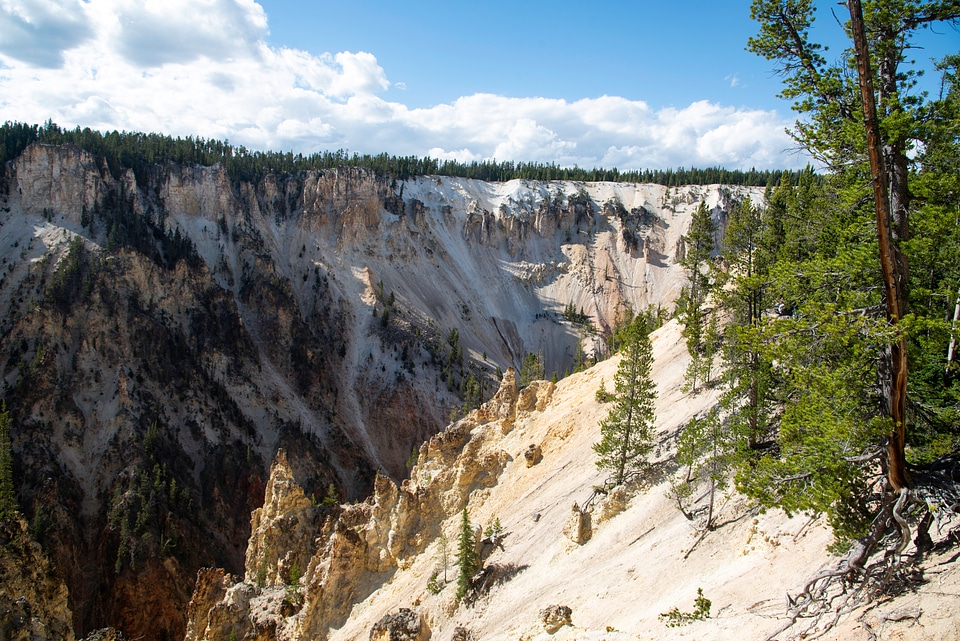 Yellowstone Canyon landscape