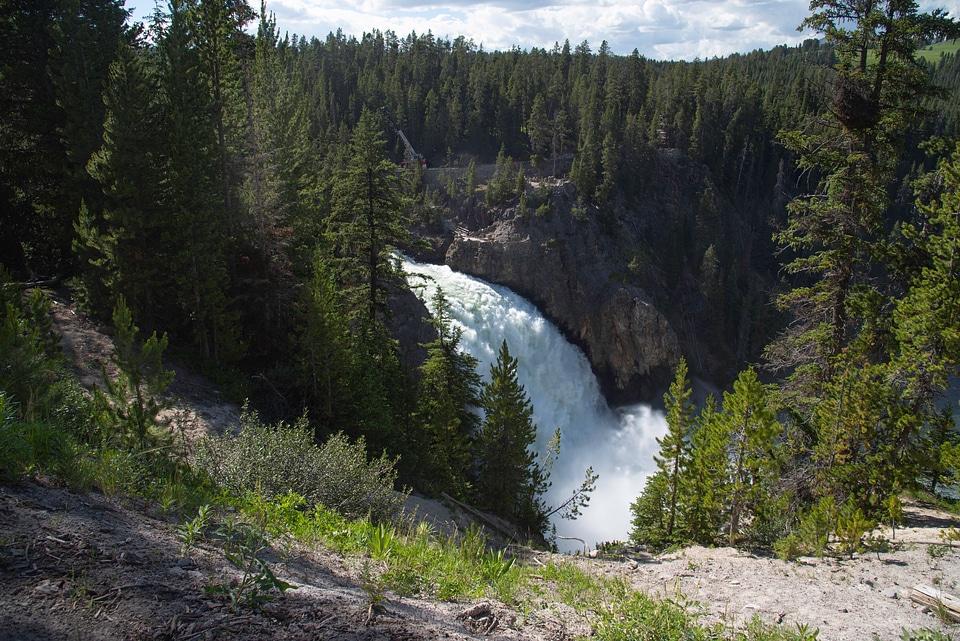 Waterfall with forest and nature