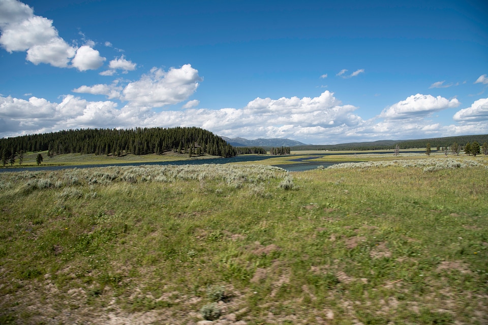 Windswept landscape in Yellowstone National Park