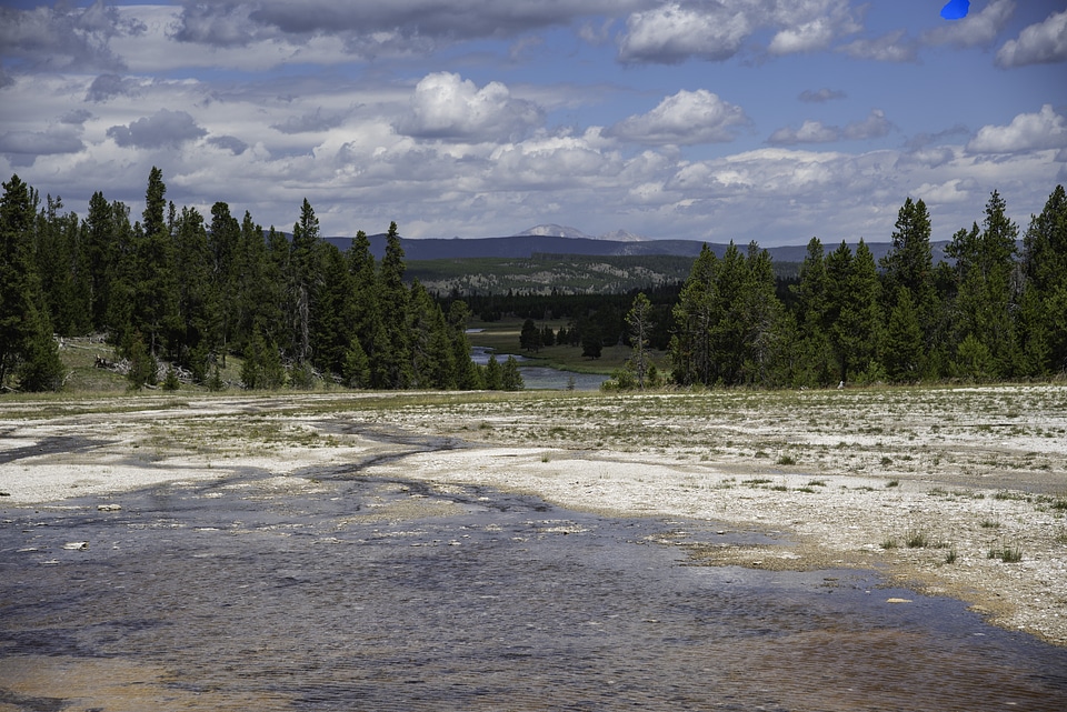 Springs and River with trees