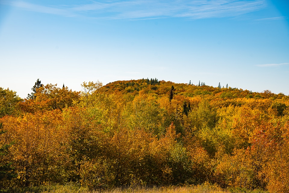Autumn colors on the hillside at Copper Harbor