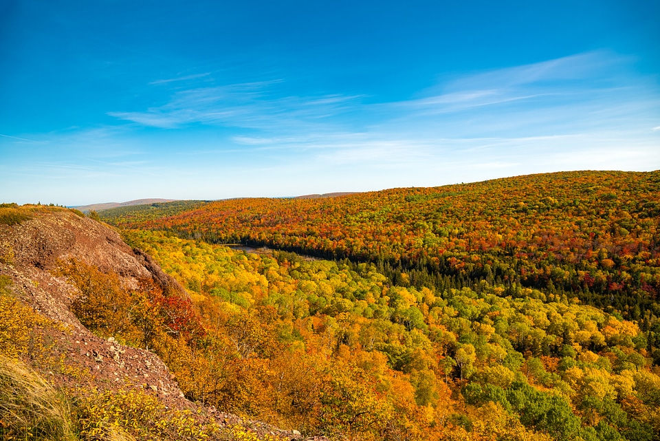 Yellow and Red Colors of Autumn at Copper Harbor