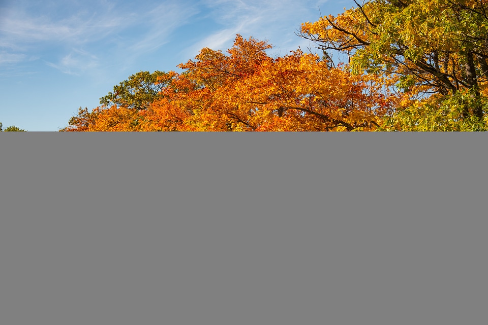 Leaves color on Brock Mountain Drive at Copper Harbor