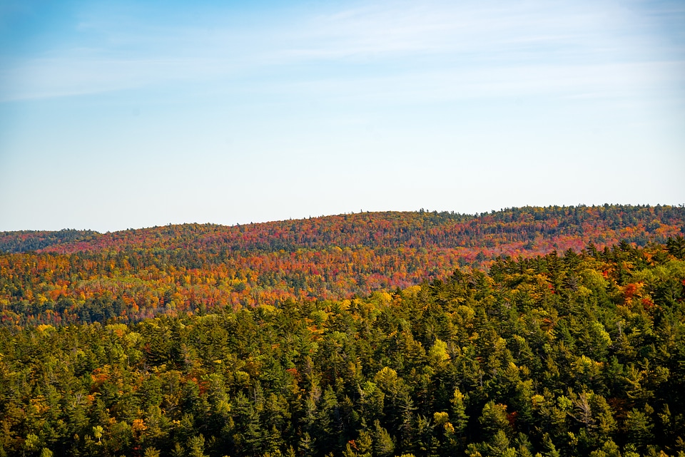 Sky and forest landscape in Autumn