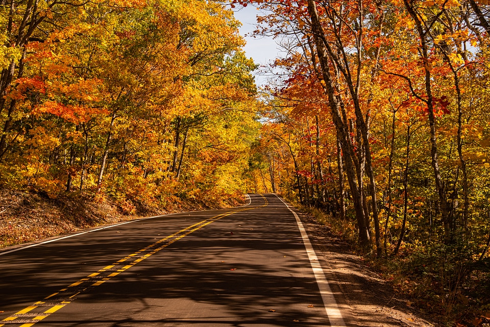 Autumn Forest corridor on the roadway