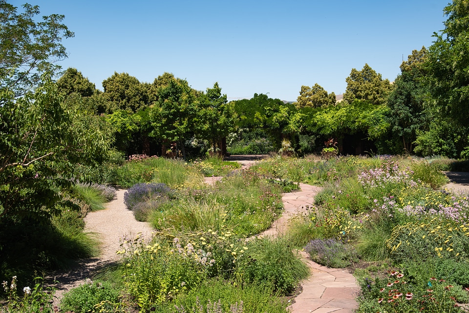 Paths in the Fragrance Garden