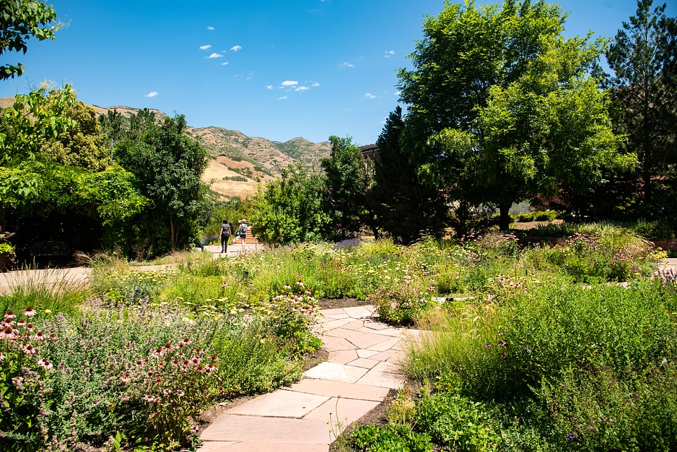 Fragrance Garden in Botanical Gardens
