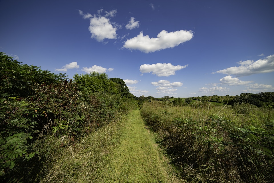 Hiking Trail into the Prairie