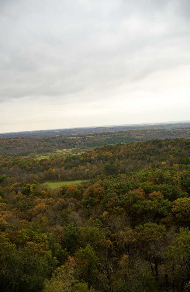 Trees and Autumn forest landscape under cloudy skies photo