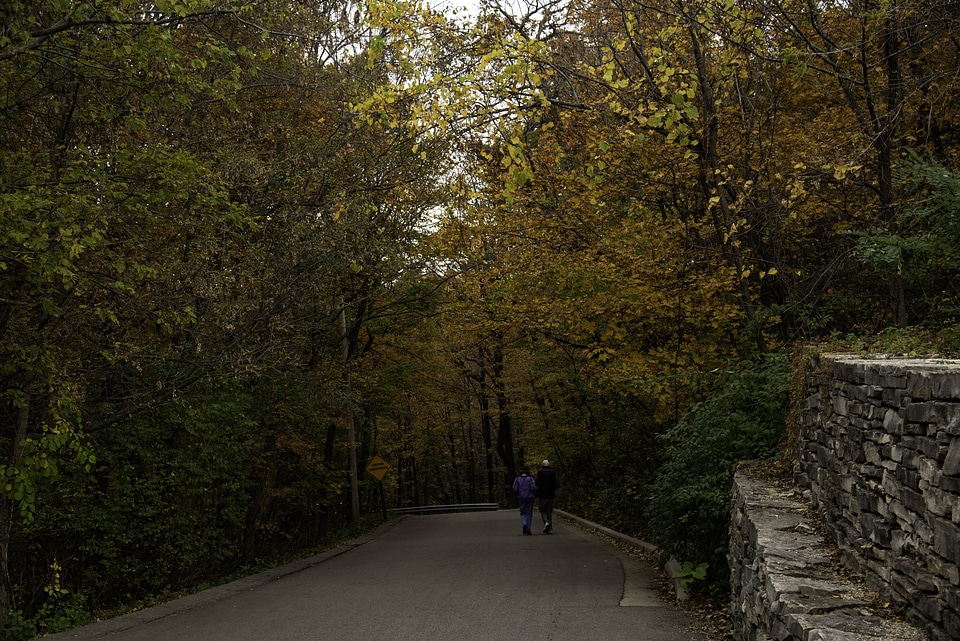 Downward path on the Autumn Trail