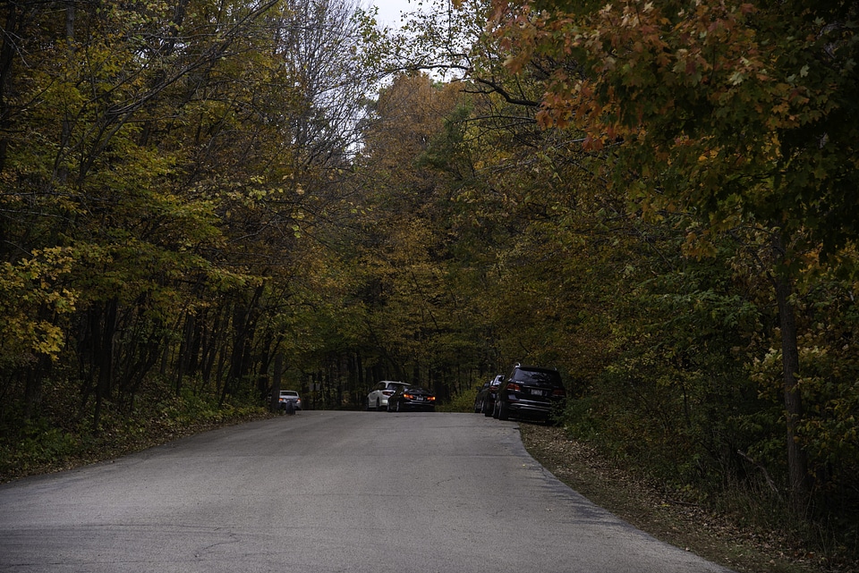 Cars on the Autumn road under leaves