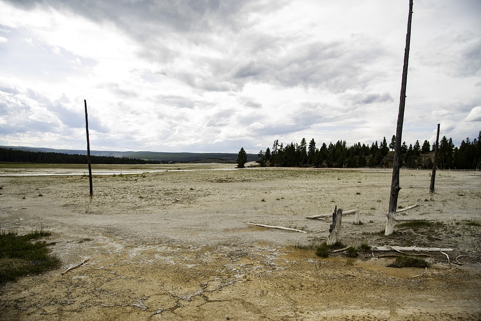 Geyser Plains are Barren