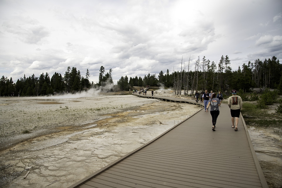 Boardwalk above the steaming ground