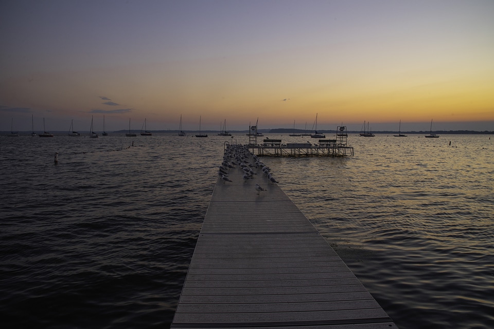 Seagulls on the Pier during Sunrise on Lake Mendota