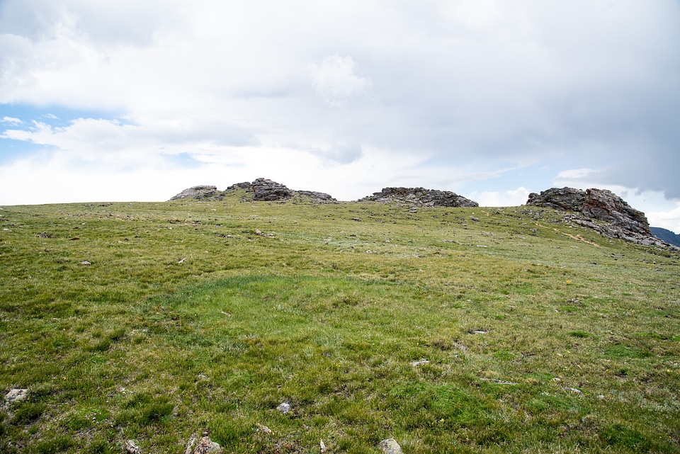 Three clumps on the hill of Rock Cut